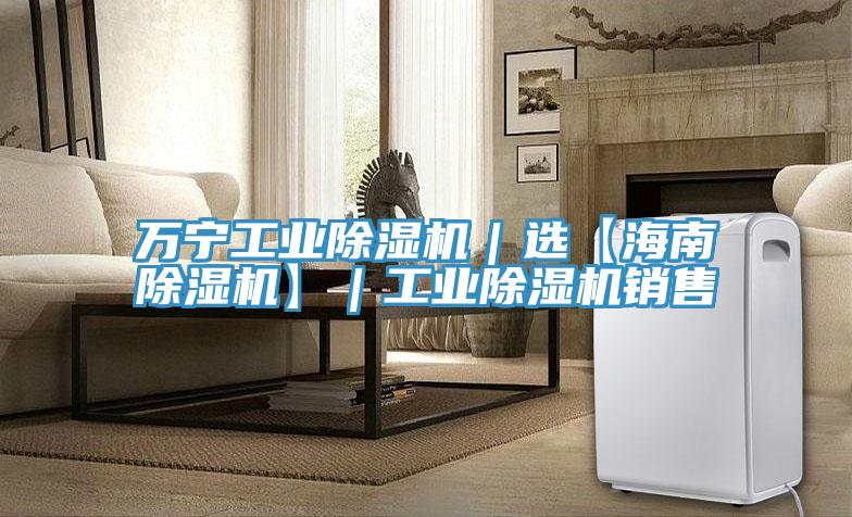 萬(wàn)寧工業(yè)除濕機(jī)｜選【海南除濕機(jī)】｜工業(yè)除濕機(jī)銷售