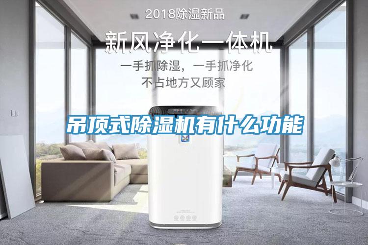 吊頂式除濕機(jī)有什么功能