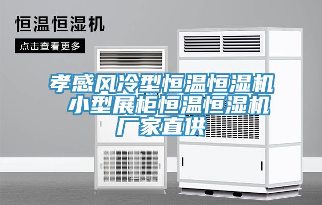 孝感風(fēng)冷型恒溫恒濕機(jī) 小型展柜恒溫恒濕機(jī)廠家直供