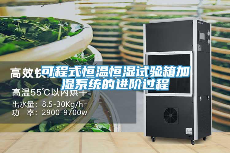 可程式恒溫恒濕試驗(yàn)箱加濕系統(tǒng)的進(jìn)階過(guò)程