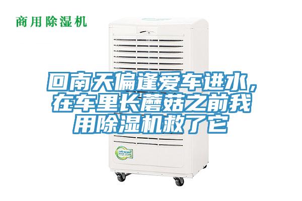 回南天偏逢愛車進(jìn)水，在車?yán)镩L蘑菇之前我用除濕機(jī)救了它