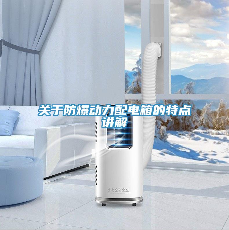 關(guān)于防爆動(dòng)力配電箱的特點(diǎn)講解