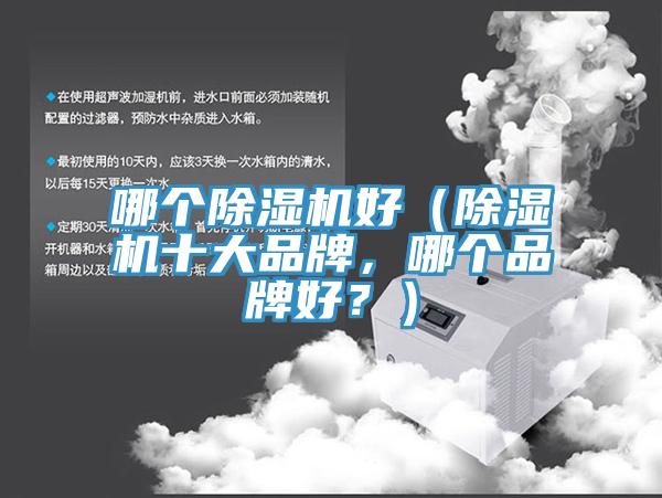 哪個(gè)除濕機(jī)好（除濕機(jī)十大品牌，哪個(gè)品牌好？）