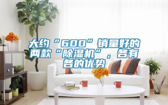 大約“600”銷量好的兩款“除濕機”，各有各的優(yōu)勢