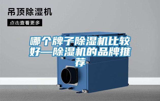 哪個(gè)牌子除濕機(jī)比較好—除濕機(jī)的品牌推薦