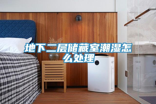 地下二層儲(chǔ)藏室潮濕怎么處理