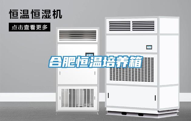 合肥恒溫培養(yǎng)箱
