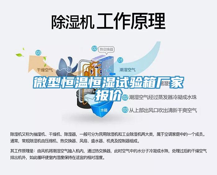 微型恒溫恒濕試驗箱廠家報價