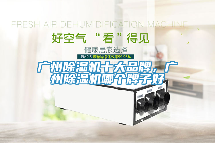 廣州除濕機(jī)十大品牌，廣州除濕機(jī)哪個牌子好