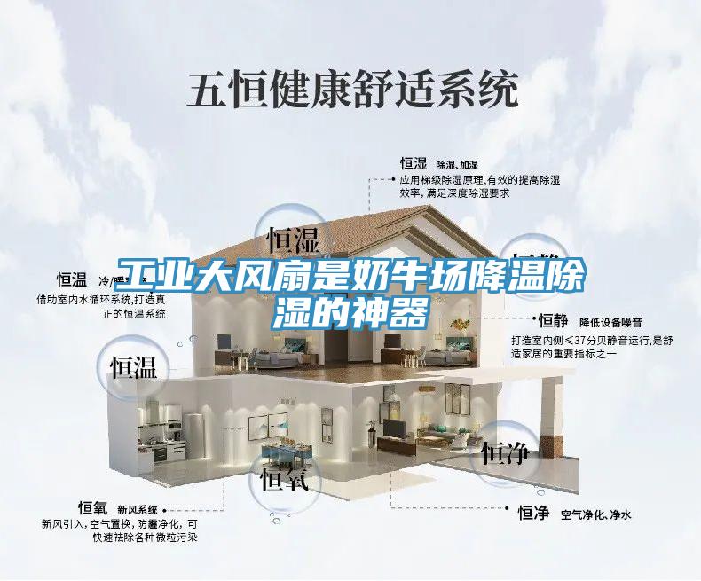 工業(yè)大風扇是奶牛場降溫除濕的神器