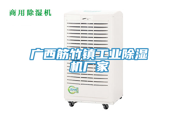 廣西筋竹鎮(zhèn)工業(yè)除濕機廠家