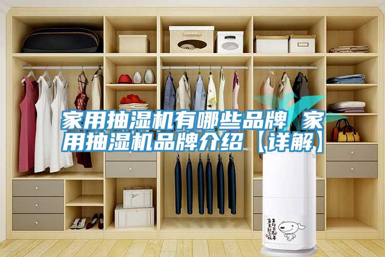 家用抽濕機(jī)有哪些品牌 家用抽濕機(jī)品牌介紹【詳解】