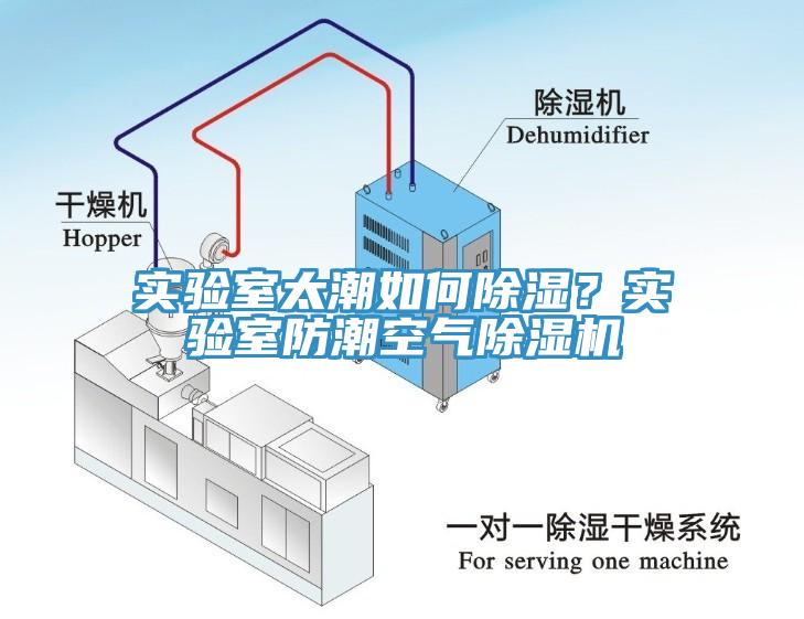 實(shí)驗(yàn)室太潮如何除濕？實(shí)驗(yàn)室防潮空氣除濕機(jī)