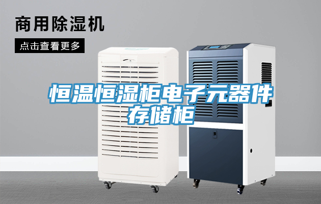 恒溫恒濕柜電子元器件存儲(chǔ)柜