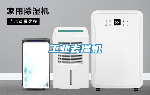 工業(yè)去濕機