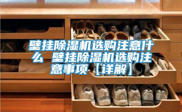 壁掛除濕機(jī)選購注意什么 壁掛除濕機(jī)選購注意事項(xiàng)【詳解】