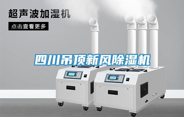 四川吊頂新風(fēng)除濕機(jī)