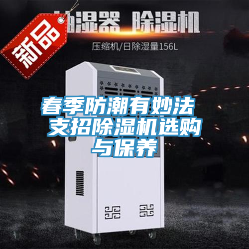 春季防潮有妙法 支招除濕機(jī)選購與保養(yǎng)