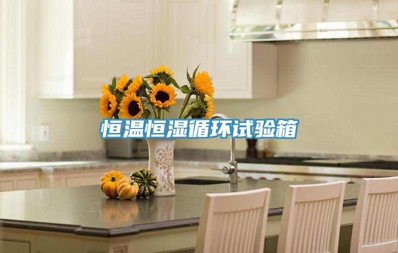 恒溫恒濕循環(huán)試驗箱