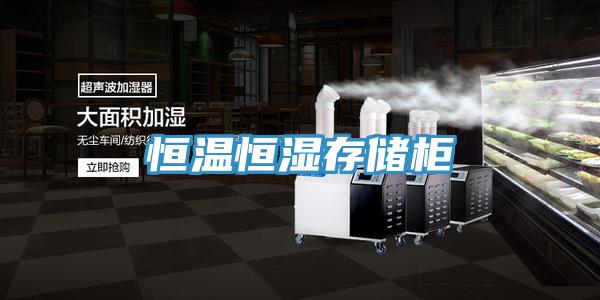 恒溫恒濕存儲(chǔ)柜