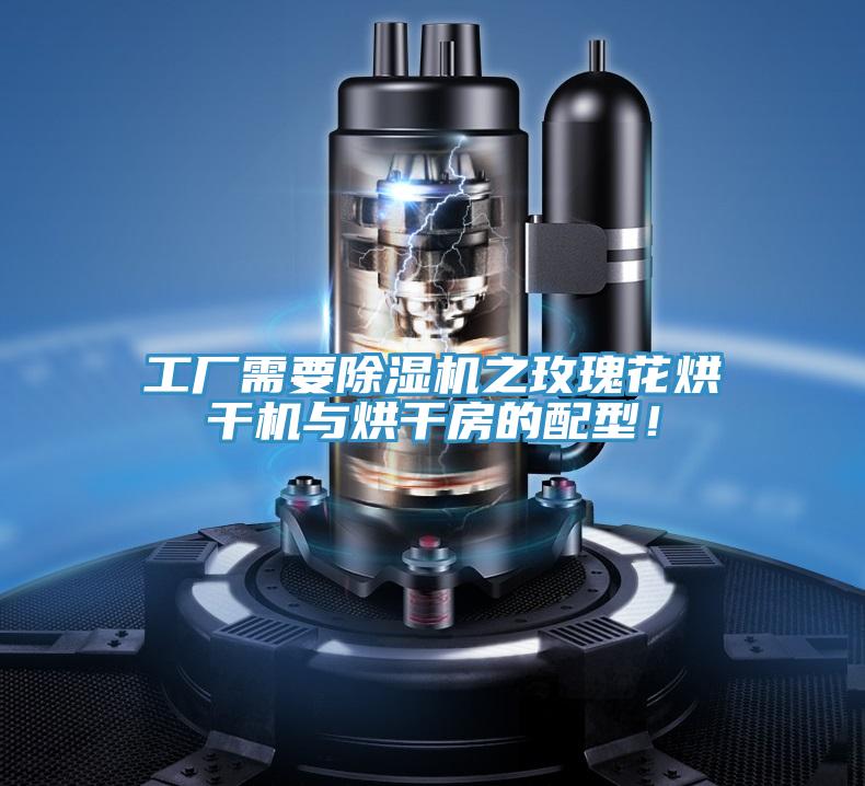 工廠需要除濕機之玫瑰花烘干機與烘干房的配型！