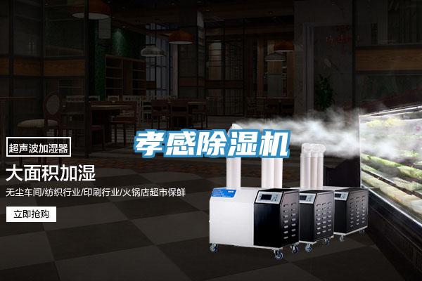 孝感除濕機