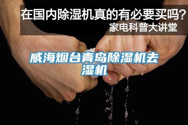 威海煙臺青島除濕機去濕機