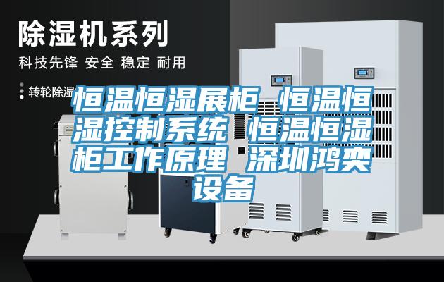 恒溫恒濕展柜 恒溫恒濕控制系統(tǒng) 恒溫恒濕柜工作原理 深圳鴻奕設(shè)備