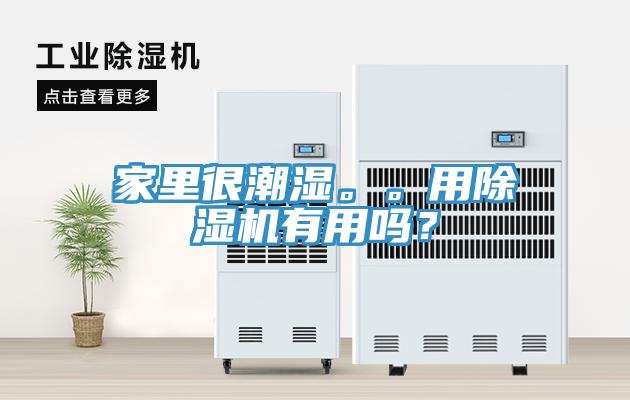 家里很潮濕。。用除濕機(jī)有用嗎？
