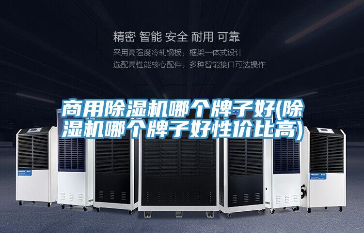 商用除濕機(jī)哪個(gè)牌子好(除濕機(jī)哪個(gè)牌子好性價(jià)比高)