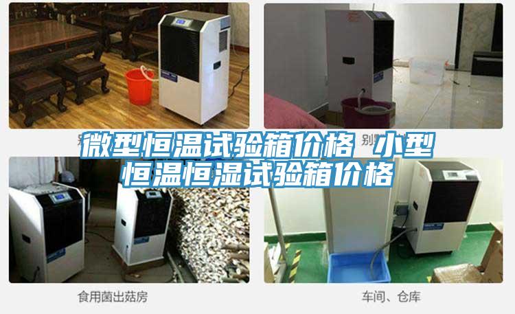 微型恒溫試驗箱價格 小型恒溫恒濕試驗箱價格