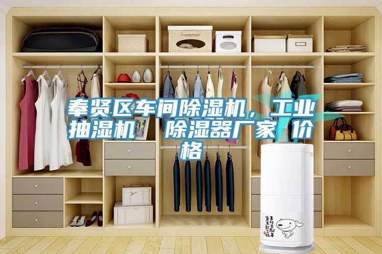 奉賢區(qū)車間除濕機(jī)，工業(yè)抽濕機(jī)  除濕器廠家 價(jià)格