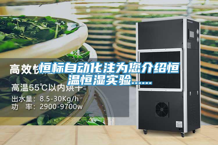 恒標(biāo)自動(dòng)化注為您介紹恒溫恒濕實(shí)驗(yàn)......