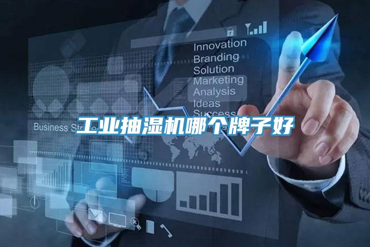 工業(yè)抽濕機(jī)哪個(gè)牌子好