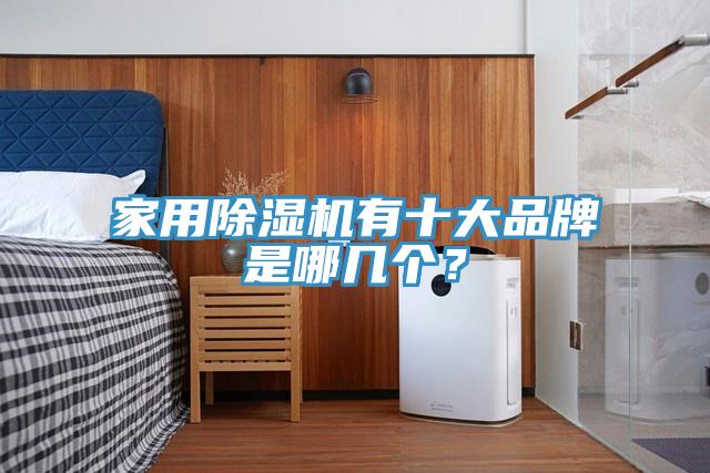 家用除濕機有十大品牌是哪幾個？