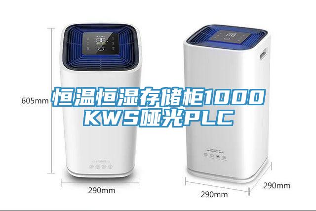 恒溫恒濕存儲(chǔ)柜1000KWS啞光PLC