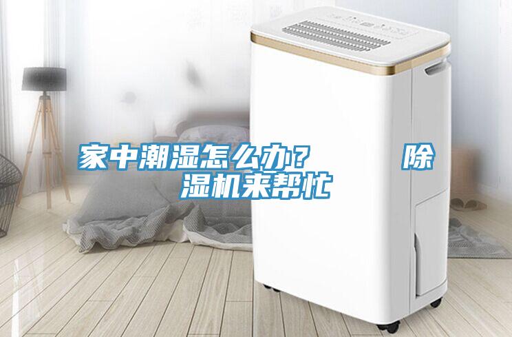 家中潮濕怎么辦？    除濕機(jī)來(lái)幫忙