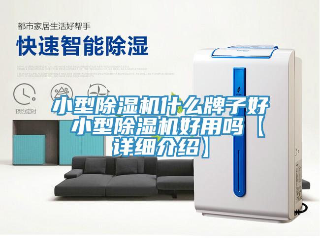 小型除濕機(jī)什么牌子好 小型除濕機(jī)好用嗎【詳細(xì)介紹】