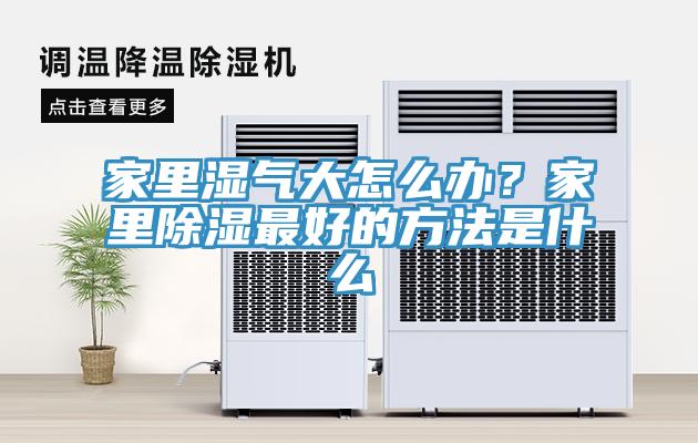 家里濕氣大怎么辦？家里除濕最好的方法是什么