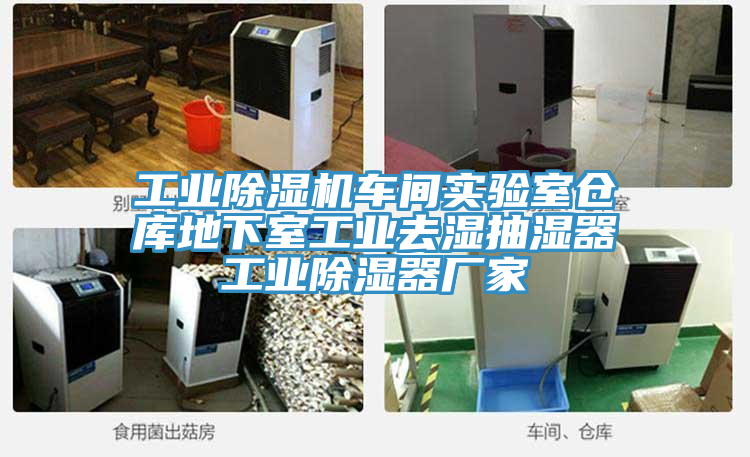 工業(yè)除濕機(jī)車間實(shí)驗(yàn)室倉庫地下室工業(yè)去濕抽濕器工業(yè)除濕器廠家