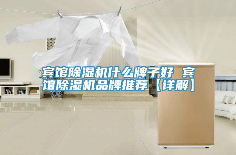 賓館除濕機(jī)什么牌子好 賓館除濕機(jī)品牌推薦【詳解】