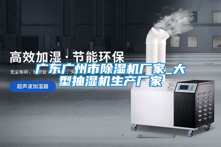 廣東廣州市除濕機廠家_大型抽濕機生產(chǎn)廠家