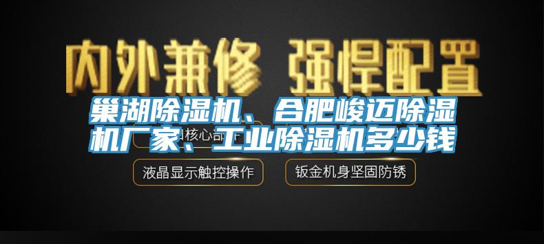 巢湖除濕機(jī)、合肥峻邁除濕機(jī)廠家、工業(yè)除濕機(jī)多少錢