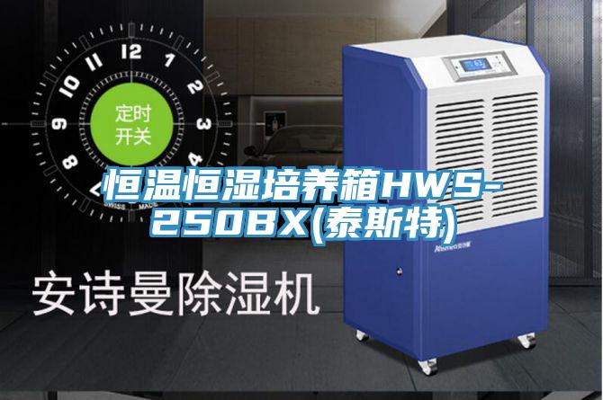 恒溫恒濕培養(yǎng)箱HWS-250BX(泰斯特)
