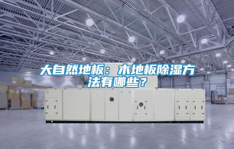 大自然地板：木地板除濕方法有哪些？
