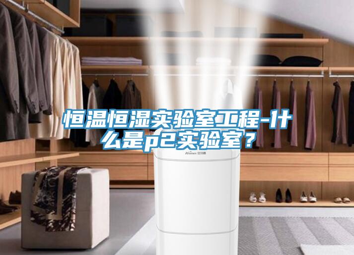 恒溫恒濕實驗室工程-什么是p2實驗室？