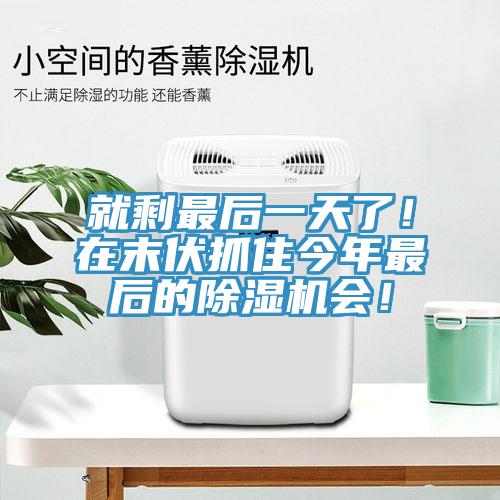 就剩最后一天了！在末伏抓住今年最后的除濕機(jī)會(huì)！