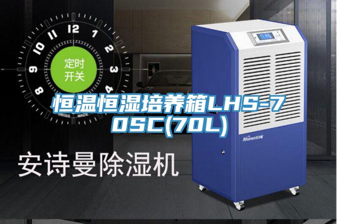 恒溫恒濕培養(yǎng)箱LHS-70SC(70L)