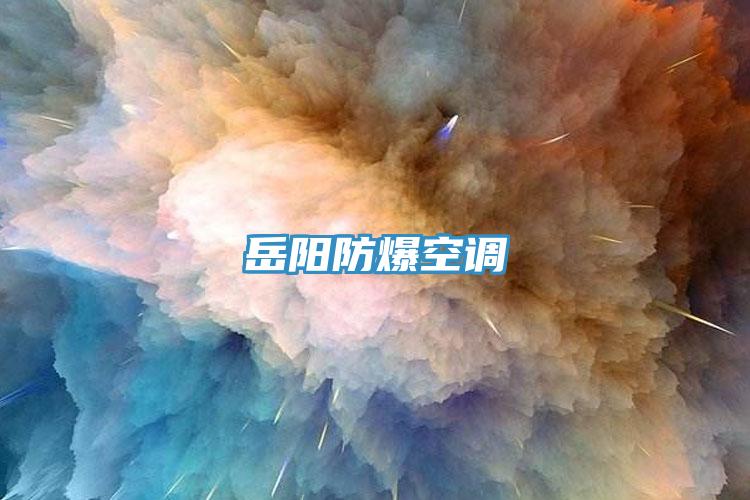 岳陽(yáng)防爆空調(diào)