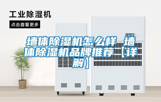 墻體除濕機(jī)怎么樣 墻體除濕機(jī)品牌推薦【詳解】